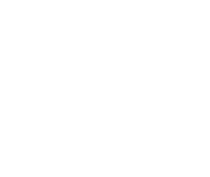 Mentor2AI